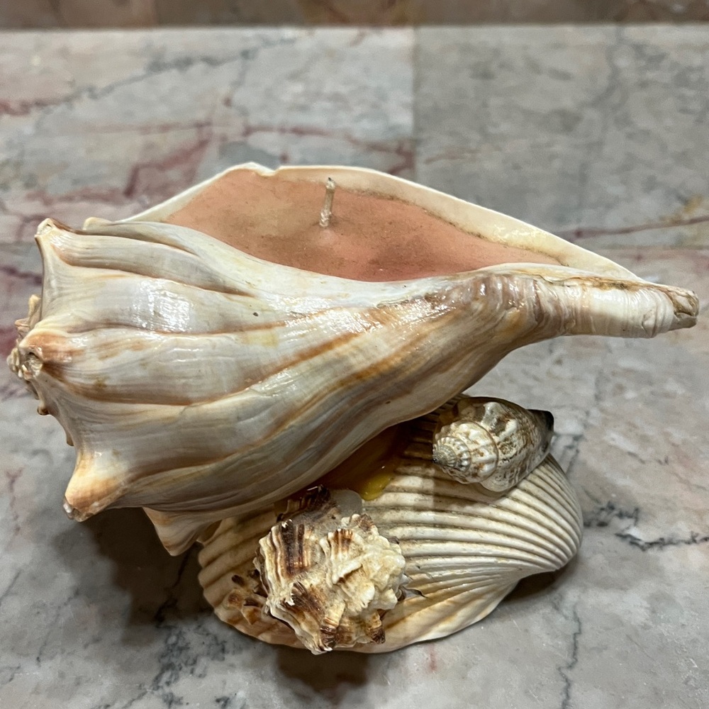 Conch Shell with Candle - Picture 3 of 7